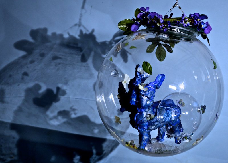 Lydia Venieri, Blue Centaurs