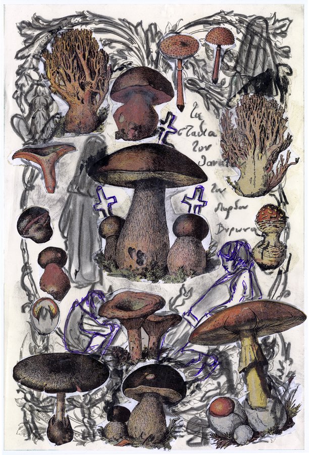 Lydia Venieri, Suspected That The Pain Was Not Natural