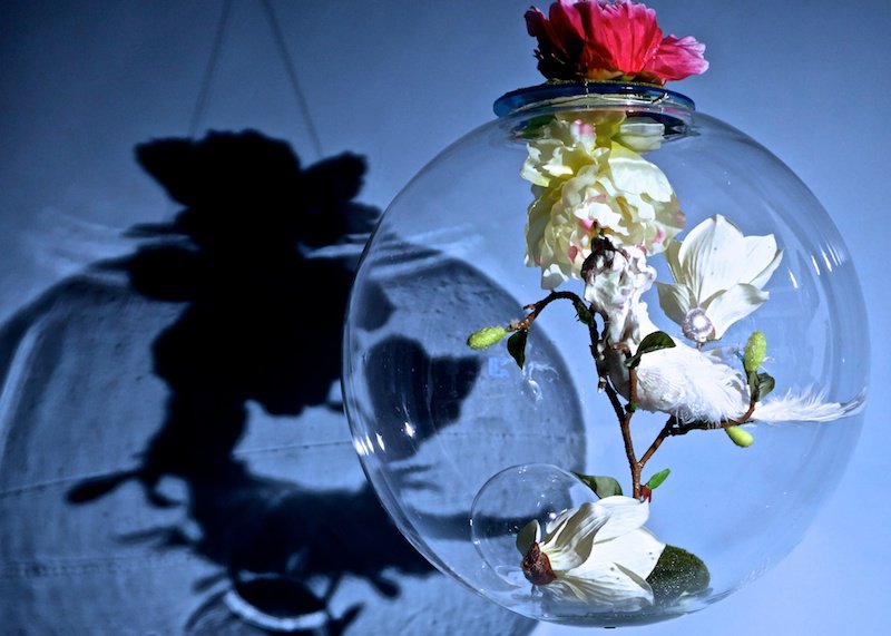 Lydia Venieri, Human Bird