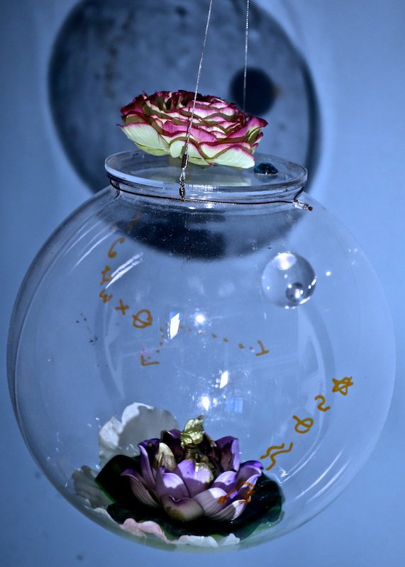 Lydia Venieri, Little Narcissus