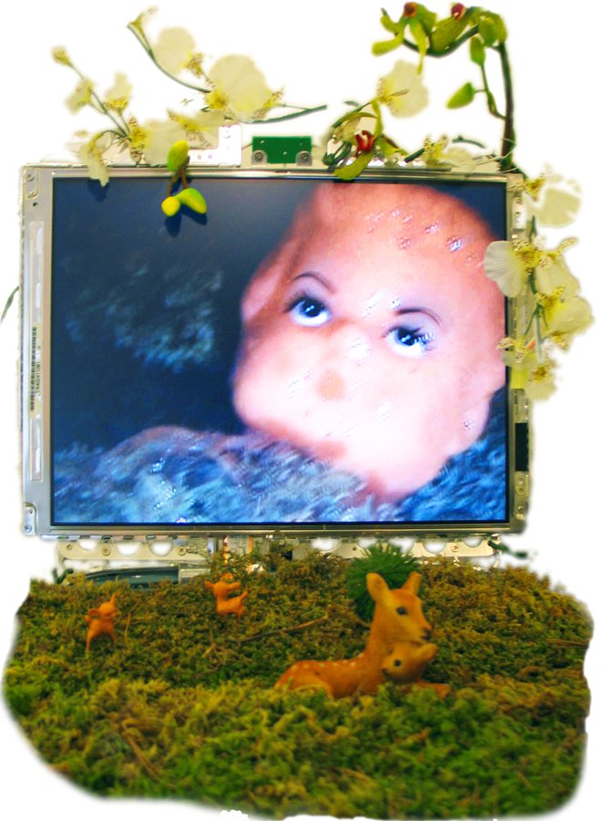 Lydia Venieri, Computer Recycled