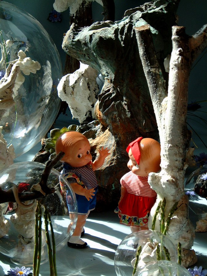 Lydia Venieri, Petrified Forest