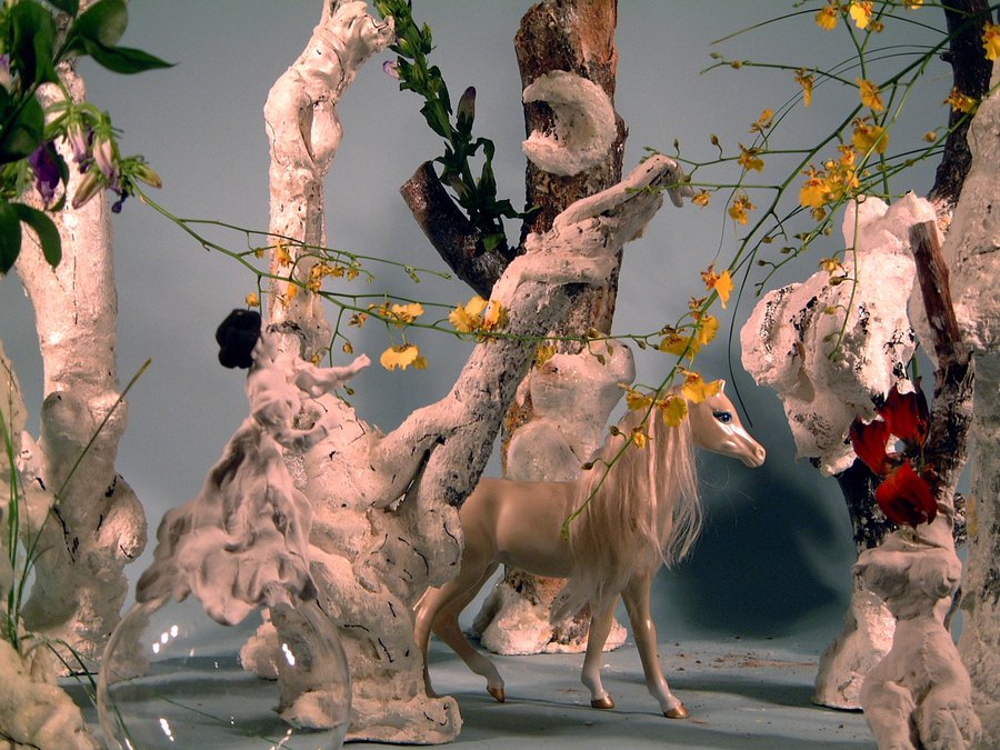 Lydia Venieri, Sleeping Beauty Conscience