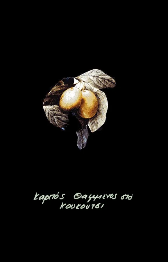 Lydia Venieri, like the grains in the middle of the kernel